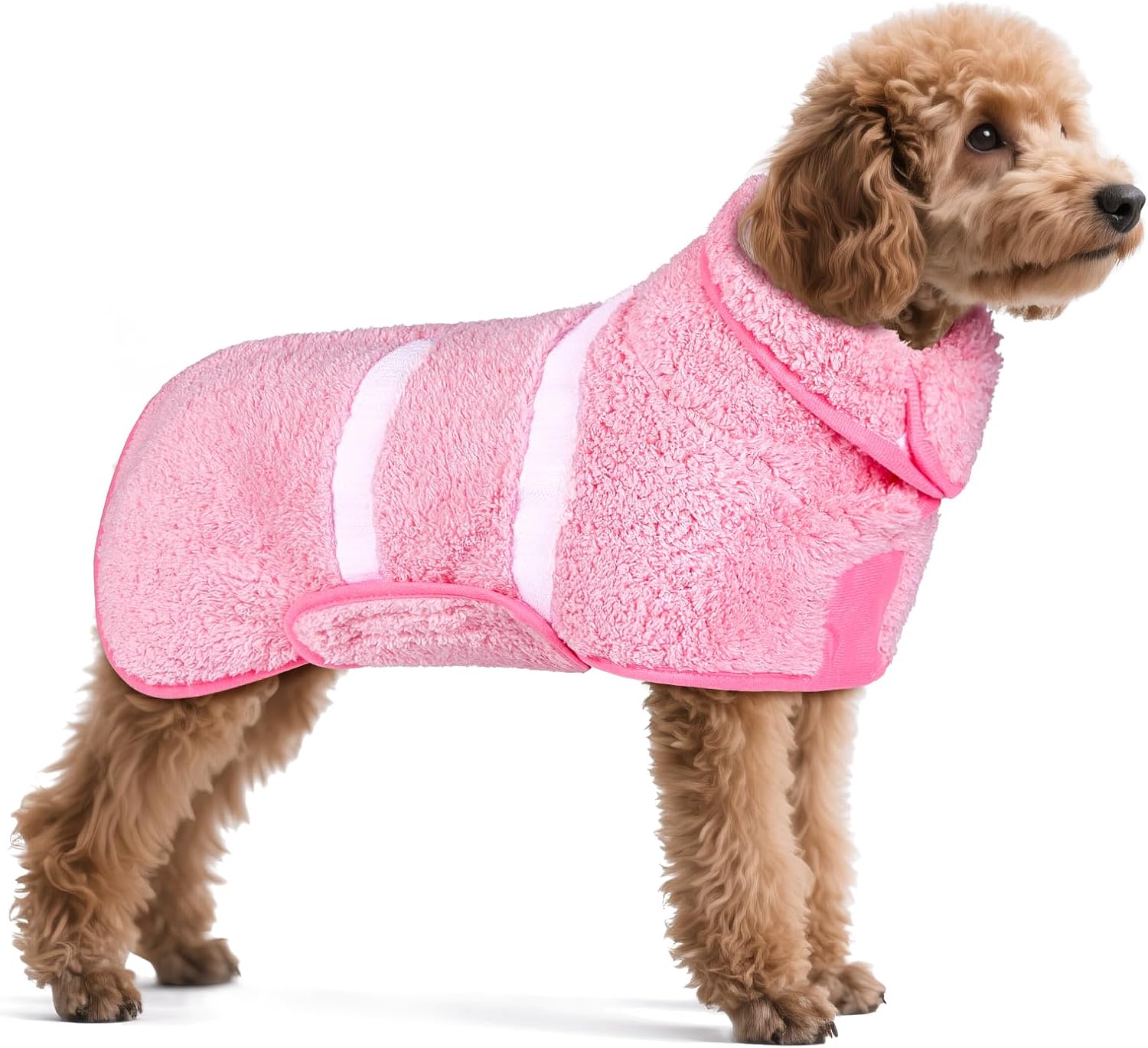 71BgwUt2zL._AC_SL1500_