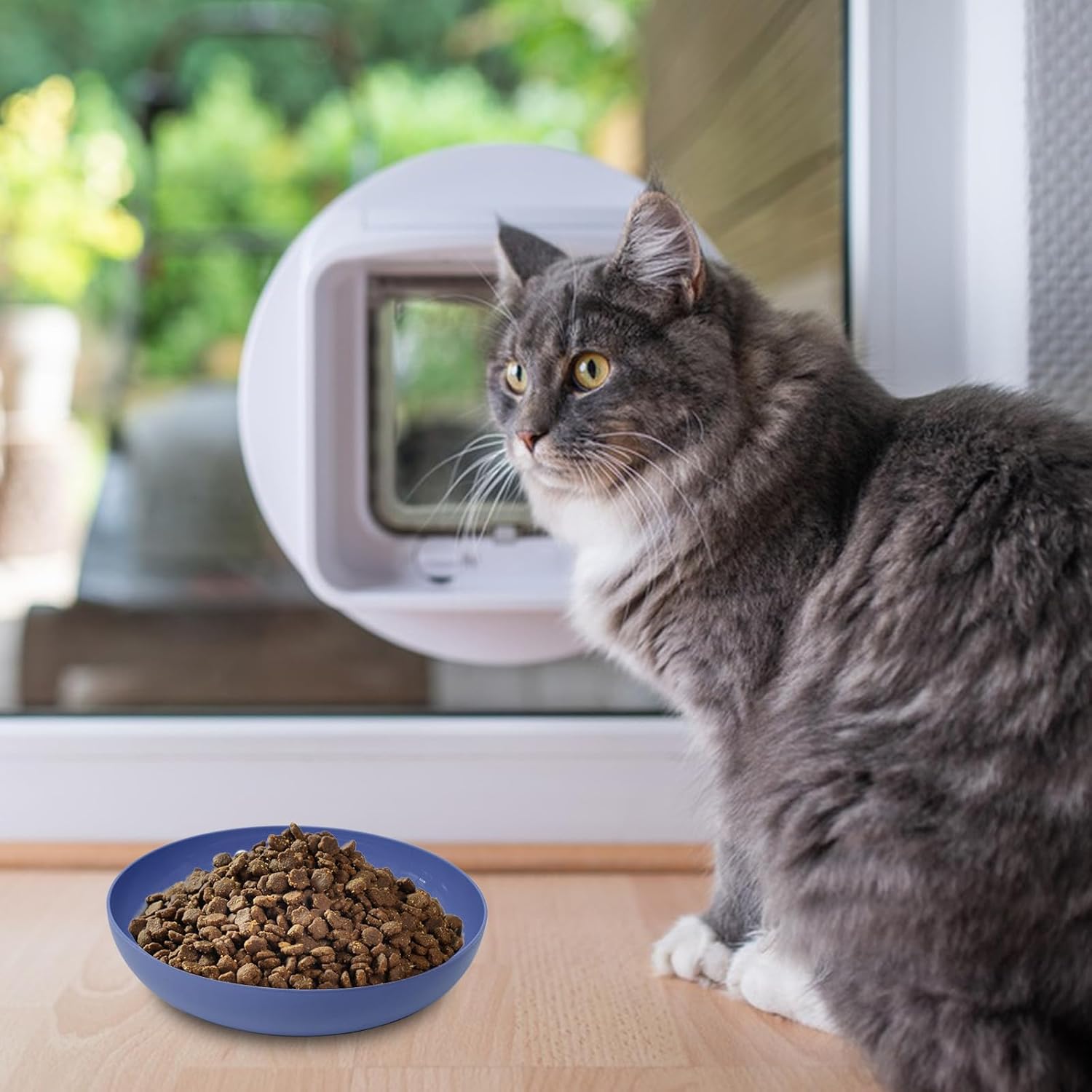 71OMu3hMO-L._AC_SL1500_