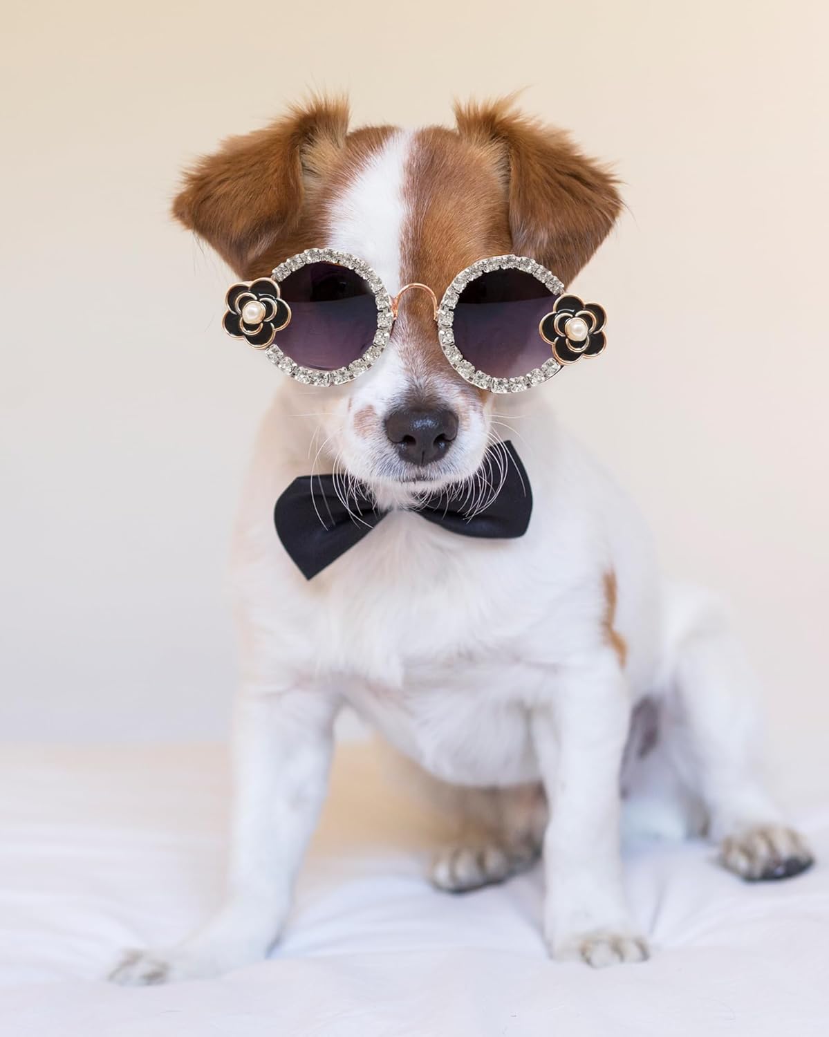 71bO7JgzjnL._AC_SL1500_