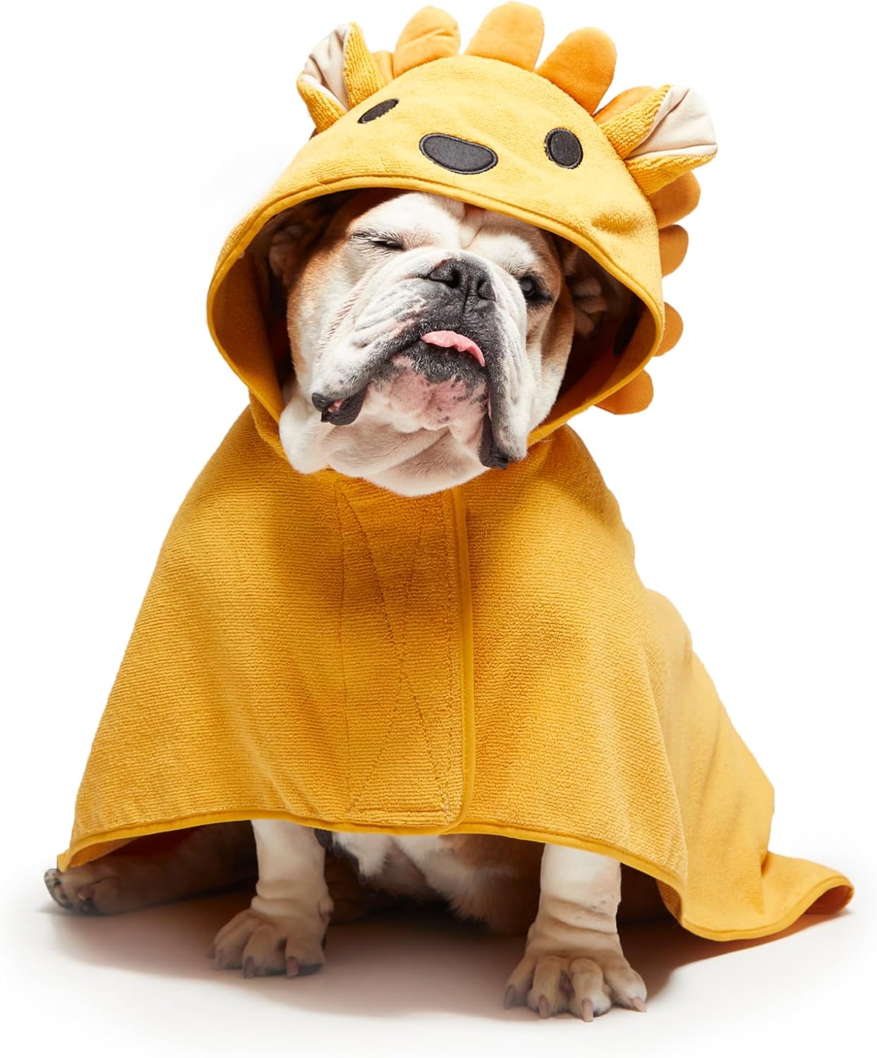 71p3kQeYFOL._AC_SL1500_